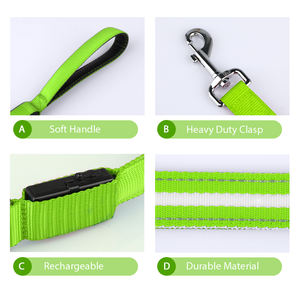 어두운 Led 나일론 애완 동물 개 가죽끈에 있는 Tize 주문 로고 밤 안전 번쩍이는 놀 - Product Image 5