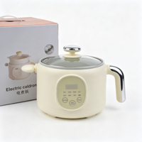 Casserole électrique multifonctionnelle pour la maison, 2 L, cuiseur à œufs, réglage de la température, chauffage rapide, contrôle numérique, poêle électrique
