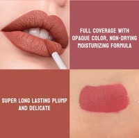 Nouveau Gloss à Lèvres Végétalien Ultra Pigmenté 2026 – Maquillage Waterproof Longue Tenue Effet Mat Minéral – Vente en Gros Marque Privée