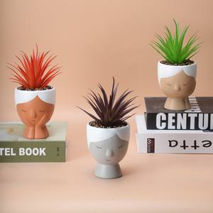 Pots de fleurs en céramique pas chers en <span class=keywords><strong>forme</strong></span> de tête, vases modernes en céramique et jardinières en plastique avec verdure artificielle pour la décoration - Product Image 6