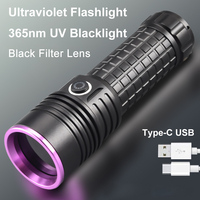 365nm UV-Taschenlampe USB-C Wiederaufladbare Schwarzlicht-Taschenlampe mit Filterlinse für Haustier-Urin, Mineralien und Banknoten-Fluoreszenzprüfung