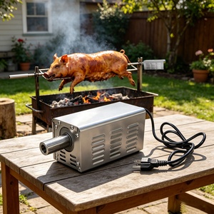 Modern 100kg Motor Stainless Steel Spit <strong>Rotisserie</strong> Drive Charcoal <strong>Grill</strong> - Product Image 6