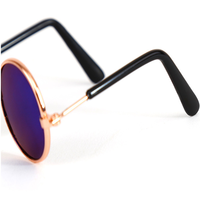 Lunettes de soleil pour hommes, accessoires à la mode, verre yeux de chat, chien, nouvelle collection