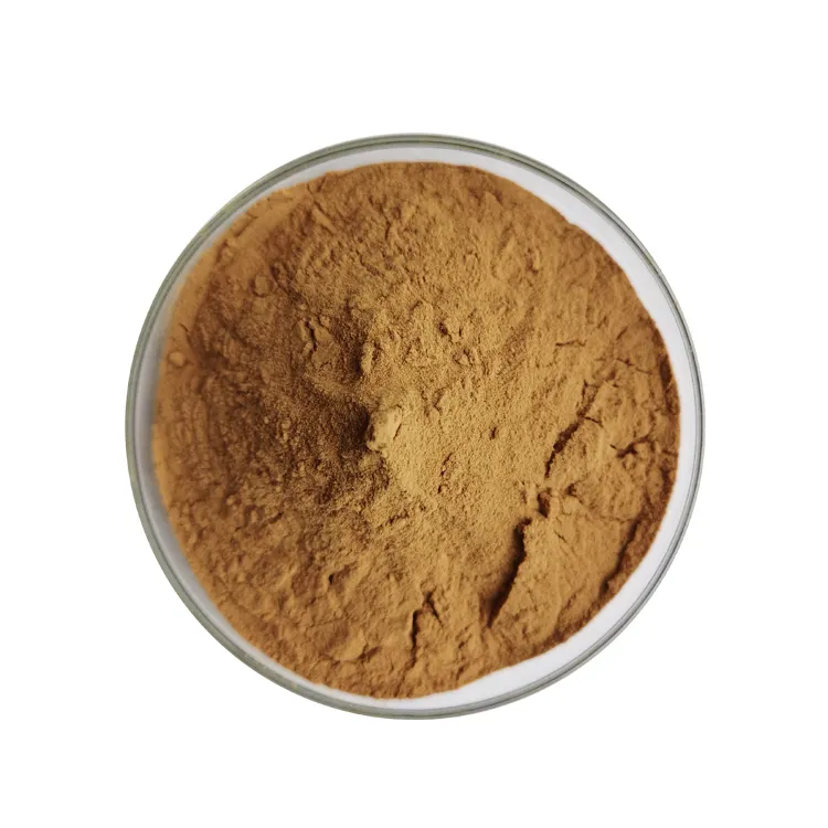 Food Grade Hojicha Tea Powder Roasted Edible Herbal Extract for Drinking