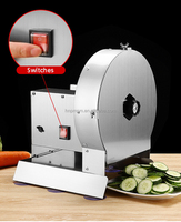 Elektrische fruit- en groentesnijder, rasp en snijmachine voor appel, mango, olijf, plantain, gedroogd fruit etc.