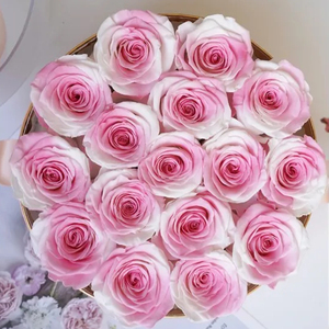 E-vendita all'ingrosso di san valentino scatola <span class=keywords><strong>regalo</strong></span> di rose eterne rose permanenti conservate per il <span class=keywords><strong>regalo</strong></span> di <span class=keywords><strong>compleanno</strong></span> della ragazza - Product Image 2