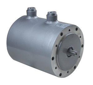 Sistema de Accionamiento de Bomba Certificado CE de 11 kW, 12000 RPM, 8.8 N.m para Vehículos Eléctricos de Celda Completa 170h11d12d, Aceite Hidráulico - Product Image 2