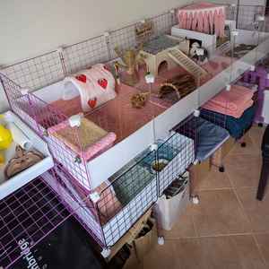 Absorberende cavia dekens, wasbaar, fleece beddengoed voor kleine dieren, kooi-voering - Product Image 3