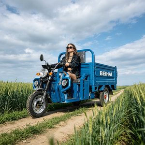 2026 BEIHAI Three Wheeled Supercar Cheap Mini 60V 2000W Scooter 3 Wheel <b>Passenger</b> Tricycles for Adults - Product Image 5