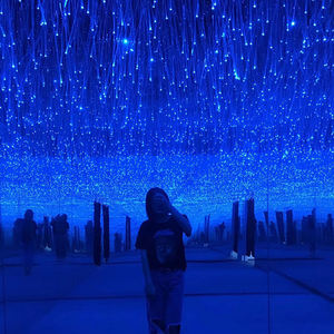 Cortina de iluminación de <span class=keywords><strong>cascada</strong></span> de fibra óptica <span class=keywords><strong>LED</strong></span> que cambia de Color RGB, luminosa de moda para Hotel, KTV, Bar, habitación interior, plástico IP67 - Product Image 6