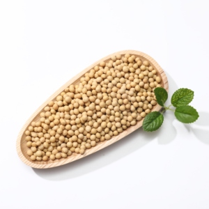 Đặc sản đậu nành xuất khẩu cao cấp vàng Đậu Nành Đậu nành hạt giống Hữu Cơ - Product Image 2