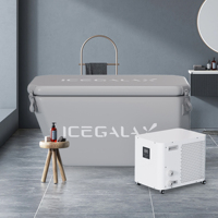 Vente d'usine de baignoire à remous, refroidisseur plongeant froid 1hp 2hp OEM, refroidisseur d'eau, bain de glace récupération