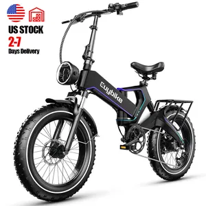 Venda Por Atacado 750W 1000W 20 Polegada Longo Alcance E-bike Dobrável Pneu Gordo Cidade Elétrica Dobrável Bicicleta Híbrida Para Adultos