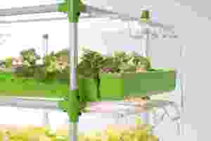 Advanced Hydroponics Aquaponics Multi-Span Kit de cultivo de invernadero agrícola Macetas grandes y duraderas para interiores y exteriores PURELAND - Product Image 6