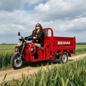 Triciclo Elettrico Passeggeri a <span class=keywords><strong>Tre</strong></span> Ruote BEIHAI 2026 Economico Mini Scooter 60V 2000W per Adulti - Product Image 2