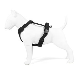 حزام مخصص من النيوبرين مع إبزيم آمن وسادات راحة مثالية للتدريب على المشي للكلاب الكبيرة المتوسطة الصغيرة - Product Image 4