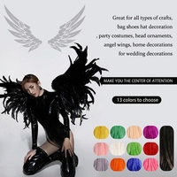 Plumes de queue de coq de haute qualité, teinture naturelle, vente en gros, embellissement de costumes, décoration