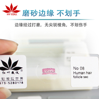Medical Lab Prepared Microscopic Glass Slides 7101 7102 7105 7104 Coverslip Glass Microscope Slides