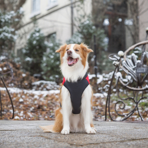 핫 세일 애완동물 의류 가을 겨울 야외 방수 강아지 두꺼운 따뜻한 면 친환경 조끼 중형 대형 사이즈 - Product Image 3
