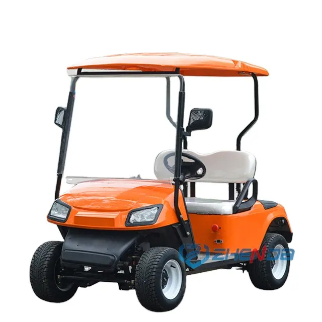 Powerful manufacturer/Lithium battery with strong battery life/Customized multi-purpose golf cart wholesale customization