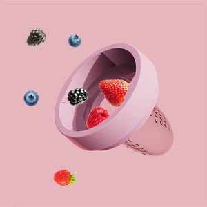 Sucette pour bébés, grignoteuse sans danger, avec motif dessin animé, de haute qualité, tétine pour grignoteuse à fruits frais - Product Image 3
