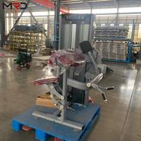 Machine d'entraînement réglable pour biceps et dos à charge par poulie ; Construction en acier de qualité commerciale supérieure avec poignées ergonomiques.