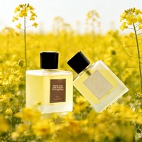 Diffuseur d'aromathérapie automatique en verre de luxe 500 ml - Grande capacité, sans électricité, pour voiture et maison, ornement parfumé, cadeau