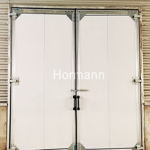 <span class=keywords><strong>Puerta</strong></span> especial de <span class=keywords><strong>dos</strong></span> puertas correderas, tablero de color de doble cara, material de relleno de aislamiento, almacén y taller - Product Image 3