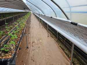 <span class=keywords><strong>Manta</strong></span> <span class=keywords><strong>Térmica</strong></span> para Invernadero CHOYUEH, Aislamiento para Cultivos de Interior, Ganado y Flores - Product Image 4