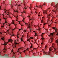 China Nuevos productos Exportados Buena calidad Frambuesas congeladas Fruta congelada 95/05 a granel 100% Fruta