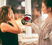 AYOYO OEM rose fleurs préservées fini coloré rose amour verre couverture amoureux 2025 cadeau de fête des mères