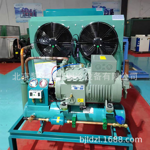ชุดคอนเดนซิ่งยูนิต Daming 4YG-7.2 ใช้สารทำความเย็น R22 สำหรับห้องเย็น คอมเพรสเซอร์ทำความเย็นสำหรับเก็บรักษาอาหารสด เมล็ดพันธุ์ และดอกไม้ - Product Image 1