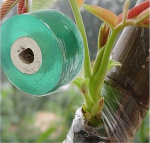 Cinta elástica para Injerto de vivero, herramientas de reparación de <span class=keywords><strong>plantas</strong></span> biodegradables para árbol frutal Floral - Product Image 1