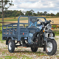 Tricycle motorisé cargo 201-250cc, moto à trois roues ouverte, 36V 801-1000W, charge utile 400kg, caisse de chargement 1.6x1.1m