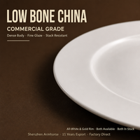 10 Zoll Neue Bone China Flache Teller Weiße Runde Servierteller für Buffet Abendessen Gastronomie Tischgeschirr