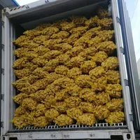 生姜の中国製高品質生姜サプライヤー輸出