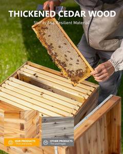 Nuovo legno resistente JubiNatural alveare Box pareti ispessite rivestimento resistente alle intemperie per apicoltura all'aperto commerciale allevamento di api - Product Image 4