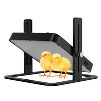 Plaque chauffante réglable en hauteur pour poussins, chauffage économe en énergie pour poulailler, plus sûr que une lampe chauffante, chauffe jusqu'à 25 poussins