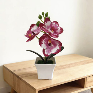Orquídea Phalaenopsis Artificial Paulon en Maceta de Plástico de 19 cm de Alto para Decoración del Hogar y Accesorios de Fotografía - Product Image 3