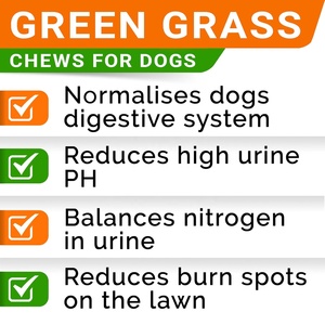 Formule personnalisée : Pierres de traitement pour gazon, DL-Méthionine + Enzyme, Soulagement naturel des taches d'urine de <span class=keywords><strong>chien</strong></span>, pour gazon vert, à mâcher pour chiens - Product Image 3