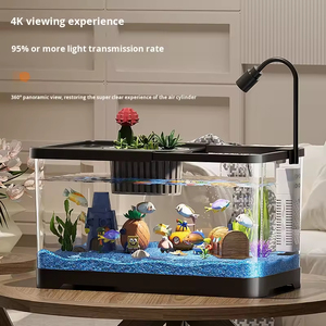 Aquarium écologique 10L en plastique pour salon, petit bassin pour poissons rouges, aquarium d'intérieur pour betta, pour usage domestique - Product Image 2