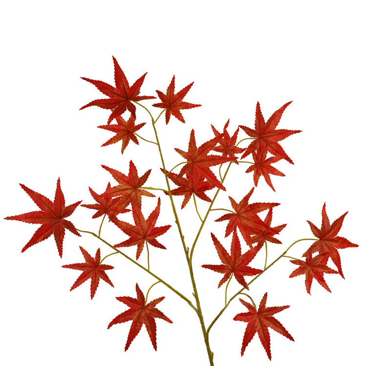 Couleur 1