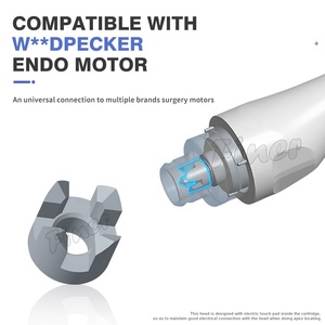 <span class=keywords><strong>Mini</strong></span> dental auto reverse Endo motor automático stop <span class=keywords><strong>Pro</strong></span> con localizador de ápice inalámbrico - Product Image 2