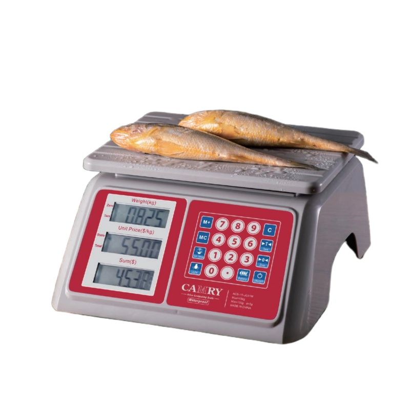 Camry Digital Scale Weighing Scales Precision Reliability