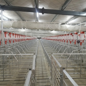 Nouvelle cage <span class=keywords><strong>de</strong></span> mise bas en acier galvanisé à chaud pour truies, modèle 2026, avec mangeoire automatique et chauffage pour élevage porcin - Product Image 1