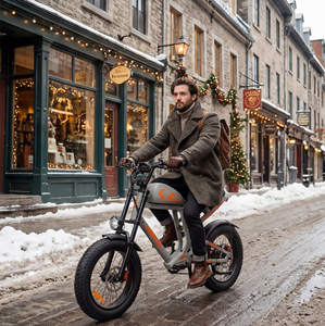 Vélo Électrique Hybride Rétro EMTB 48V pour Route, Tout-Terrain et Montagne, Modèle EG-B500, avec Pneus Larges, Moteur Brushless 500W et Batterie Lithium – Expédition depuis l'Entrepôt Américain - Product Image 5