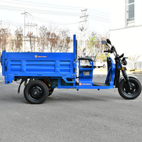 Tricycle électrique de fret à trois roues, fabriqué en Chine, personnalisable, à benne basculante, en vente chaude