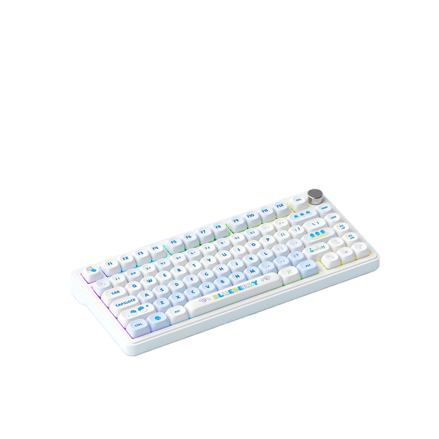 New Customized XINMENG M75 Low Profile 75% Layout Mechanical Keyboard with USB-C Wireless RGB Backlit Gaming Keyboard