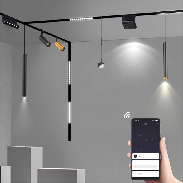 Smart Track Rail Lamp System Tuya Dali Triac CCT Dimming Home Lighting 48V Led Magnetic Track Light