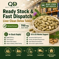 Complément Alimentaire Détoxifiant pour le Foie Personnalisé à Base d'Extraits Végétaux, Végétalien, Sans OGM, pour Adultes, Comprimés en Vrac, Fabricant OEM
